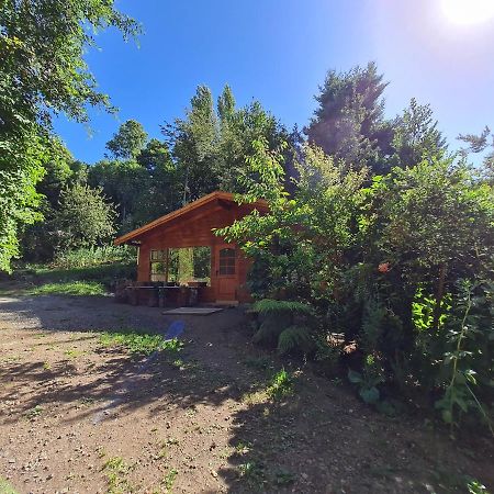Cabanas El Cipres Pucón Exteriér fotografie