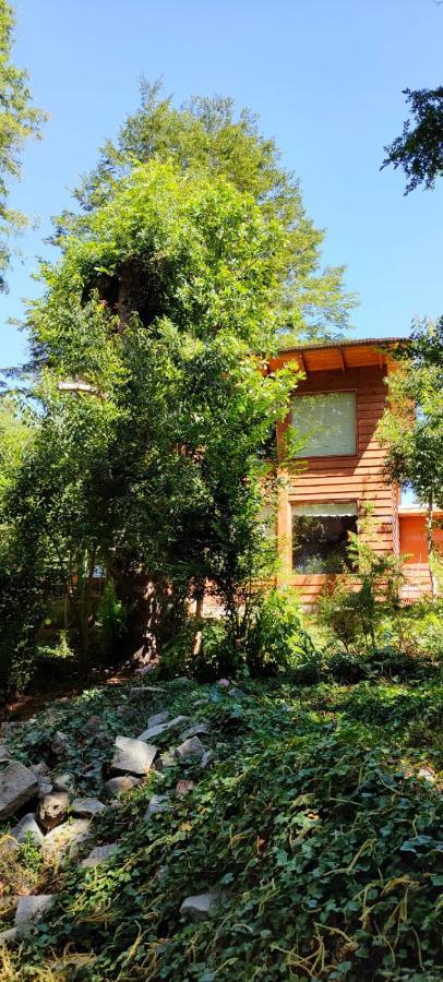 Cabanas El Cipres Pucón Exteriér fotografie