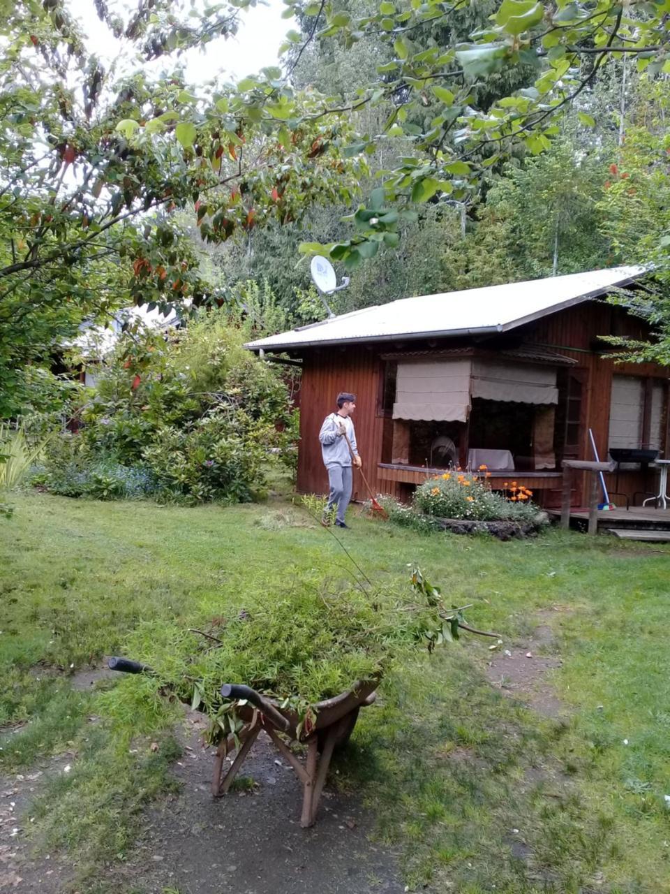 Cabanas El Cipres Pucón Exteriér fotografie