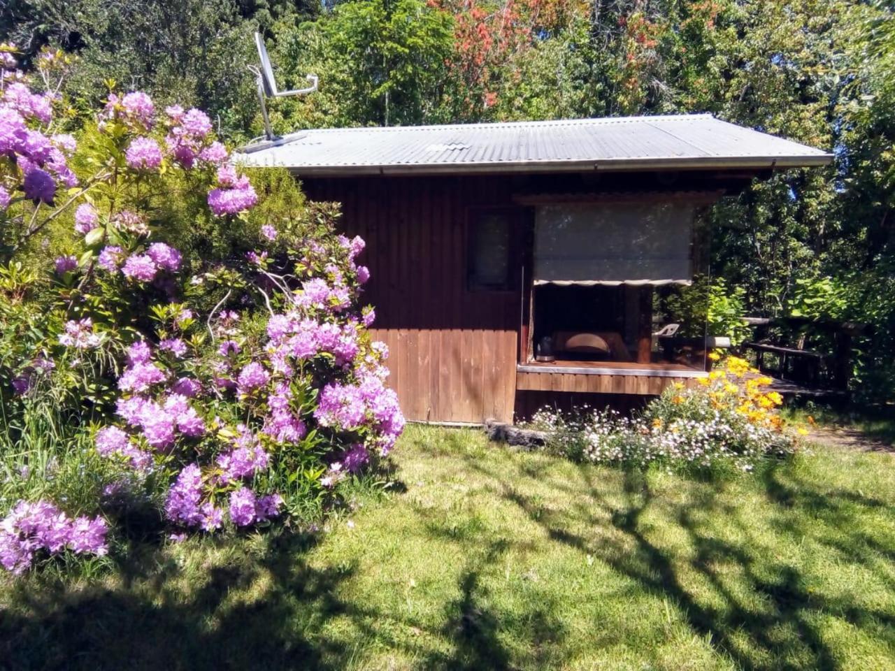 Cabanas El Cipres Pucón Exteriér fotografie