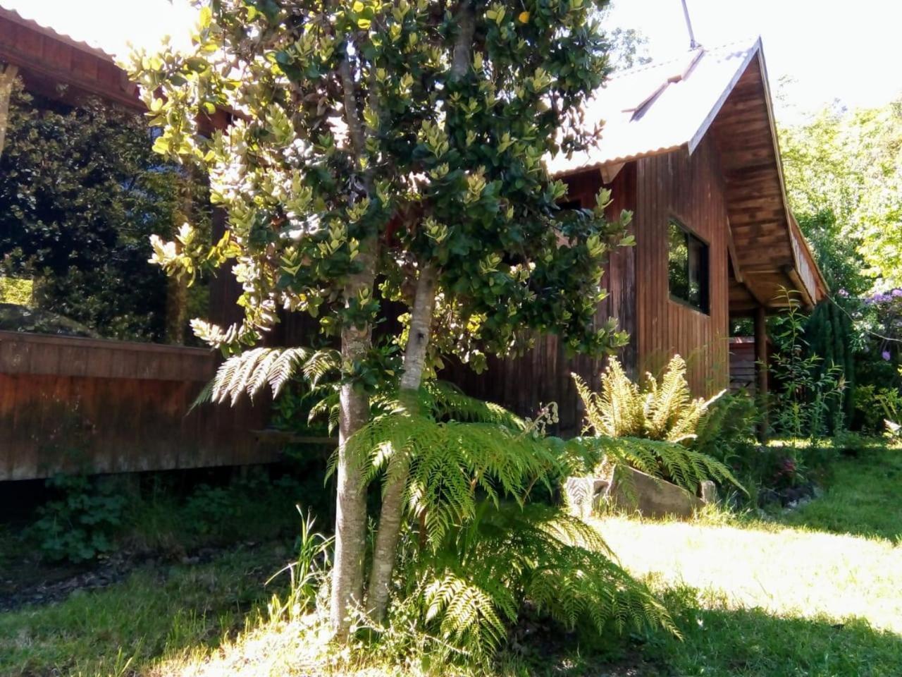 Cabanas El Cipres Pucón Exteriér fotografie
